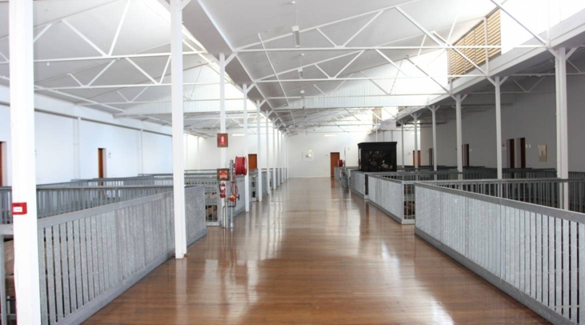 323/14 Milford Street, ISLINGTON, NSW 2296 Australia