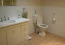 29 Gregson Avenue, MAYFIELD WEST, NSW 2304 Australia