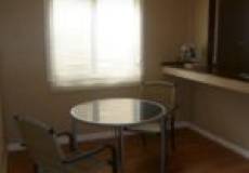 67 Braye Street, MAYFIELD, NSW 2304 Australia