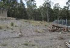 31 Hooghly Avenue, CAMERON PARK, NSW 2285 Australia