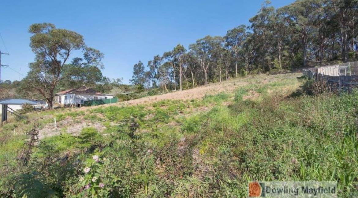 166 Cardiff Road, Elermore Vale, NSW 2287 Australia