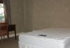 66 Neville Street, MAYFIELD, NSW 2304 Australia