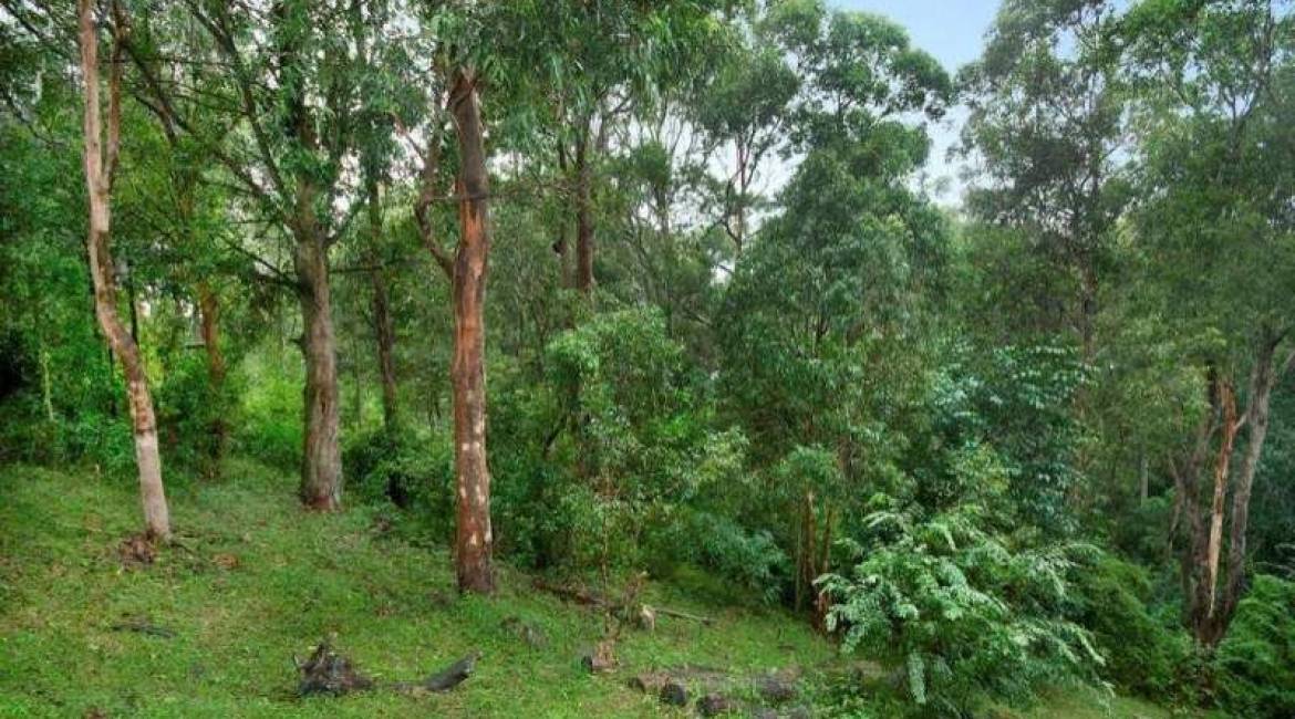 20 Avoca Close, WARATAH WEST, NSW 2298 Australia