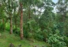 20 Avoca Close, WARATAH WEST, NSW 2298 Australia