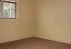 5 Irelands Avenue, MAYFIELD, NSW 2304 Australia