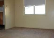 5 Irelands Avenue, MAYFIELD, NSW 2304 Australia