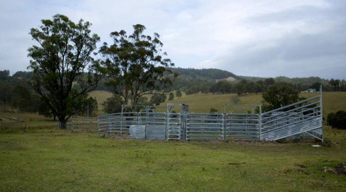 386 Blackhill Road, BLACK HILL, NSW 2322 Australia