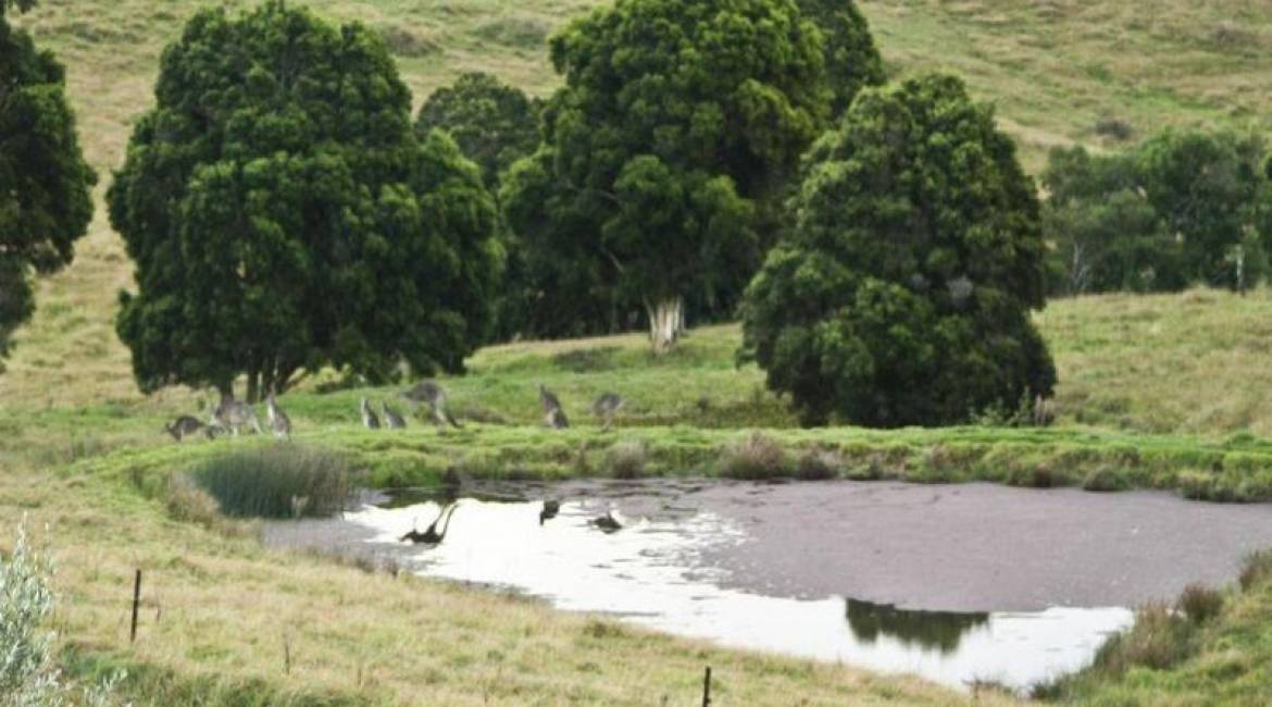 386 Blackhill Road, BLACK HILL, NSW 2322 Australia