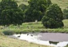 386 Blackhill Road, BLACK HILL, NSW 2322 Australia