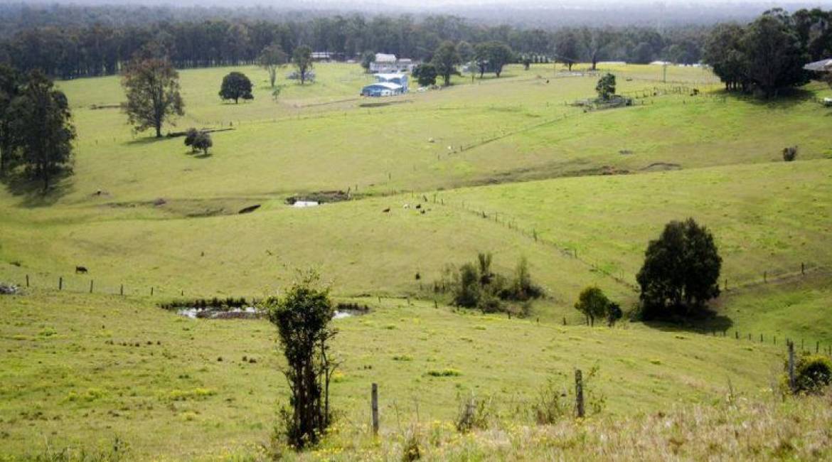 386 Blackhill Road, BLACK HILL, NSW 2322 Australia