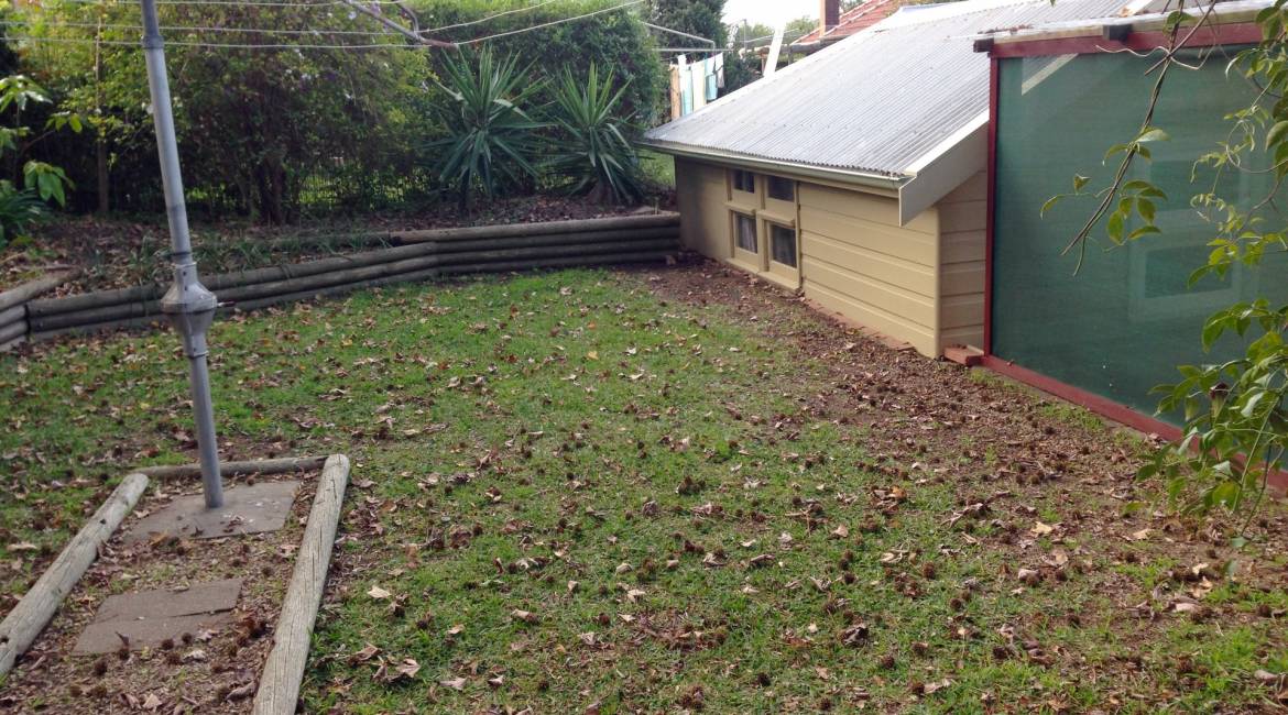 67 Harriet Street, Waratah, NSW 2298 Australia