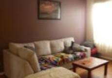 15 Robert Street, MAYFIELD, NSW 2304 Australia