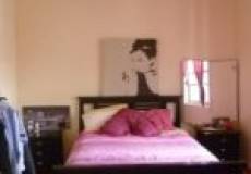 15 Robert Street, MAYFIELD, NSW 2304 Australia