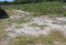 4 Jabiru Drive, FERN BAY, NSW 2295 Australia