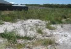 4 Jabiru Drive, FERN BAY, NSW 2295 Australia