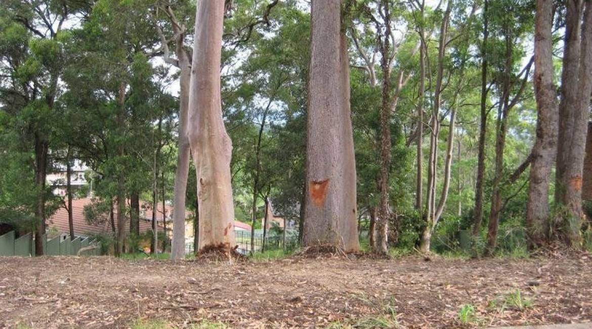 100 Dangerfield Drive, ELERMORE VALE, NSW 2287 Australia