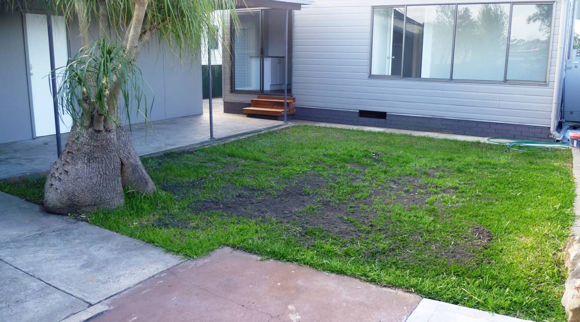 13 Sunnyside Street, MAYFIELD, NSW 2304 Australia