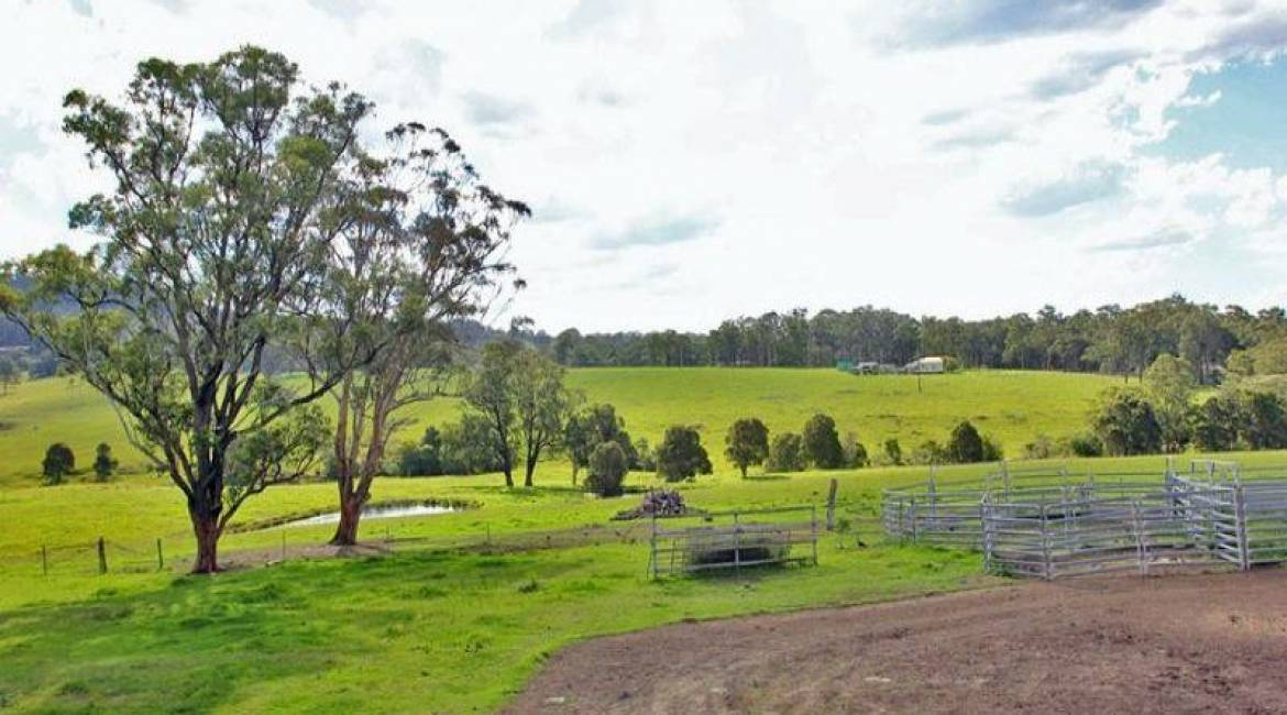 386 Blackhill Road, BLACK HILL, NSW 2322 Australia