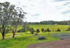 386 Blackhill Road, BLACK HILL, NSW 2322 Australia