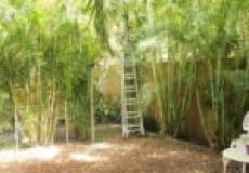 6 Belford Street, BROADMEADOW, NSW 2292 Australia