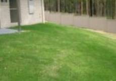 8 Graysynd Circuit, CAMERON PARK, NSW 2285 Australia