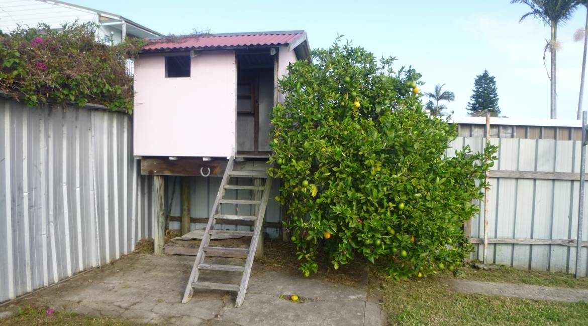 12 Popran Lane, ADAMSTOWN, NSW 2289 Australia