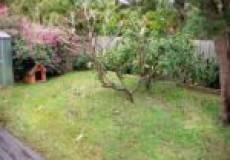 13 Baird Street, HAMILTON NORTH, NSW 2292 Australia