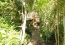 28A Montrose Avenue, ADAMSTOWN HEIGHTS, NSW 2289 Australia