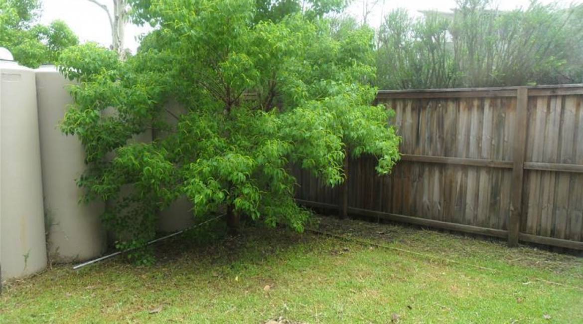 4 Kestrel Circuit, SHORTLAND, NSW 2307 Australia