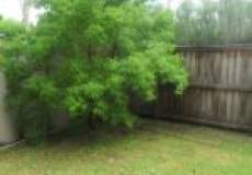 4 Kestrel Circuit, SHORTLAND, NSW 2307 Australia