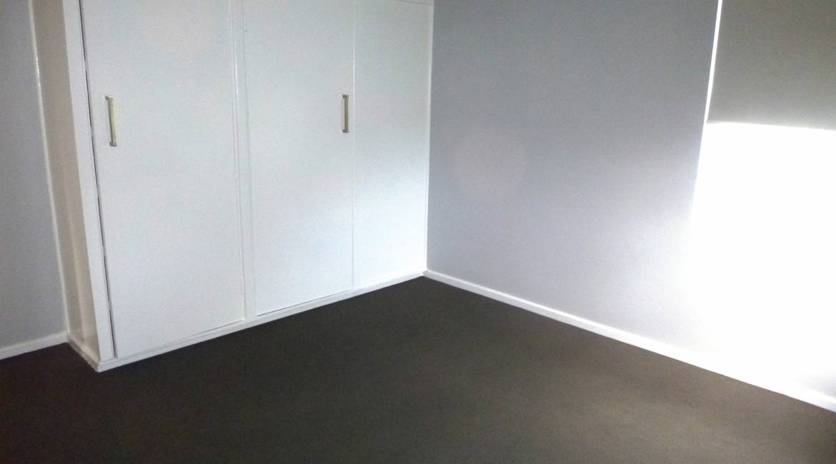 19 Harry Street, BELMONT SOUTH, NSW 2280 Australia