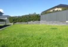 43 Wigeon Chase, CAMERON PARK, NSW 2285 Australia