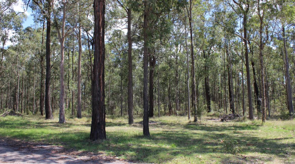 45 Black Hill Road, BLACK HILL, NSW 2322 Australia