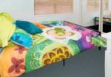 19 Parkhill Parade, Waratah West, NSW 2298 Australia