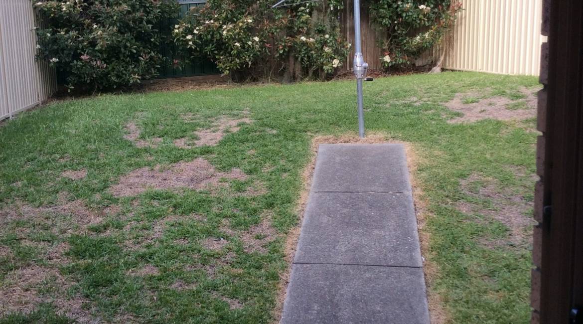 2/33 Simpson Court, MAYFIELD WEST, NSW 2304 Australia