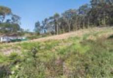 168 Cardiff Road, Elermore Vale, NSW 2287 Australia