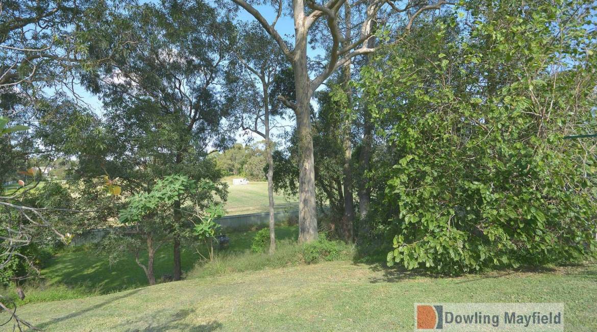 9 Cora Place, Shortland, NSW 2307 Australia