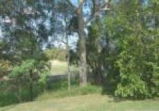 9 Cora Place, Shortland, NSW 2307 Australia