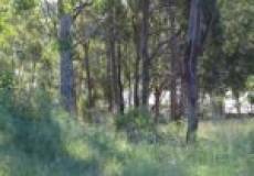 1 Minter Street, Valentine, NSW 2280 Australia