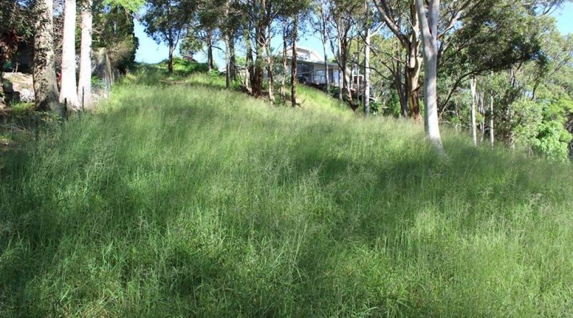 1 Minter Street, Valentine, NSW 2280 Australia