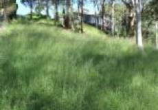 1 Minter Street, Valentine, NSW 2280 Australia