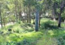 1 Minter Street, Valentine, NSW 2280 Australia