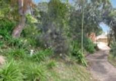 16 Taranaki Place, Macquarie Hills, NSW 2285 Australia