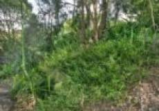 16 Taranaki Place, Macquarie Hills, NSW 2285 Australia