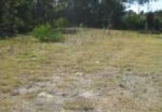 21 Huntingdale Place, Medowie, NSW 2318 Australia