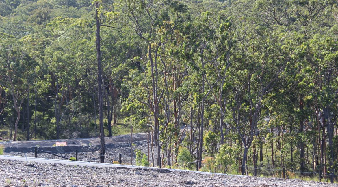 58A Comel Avenue, CAMERON PARK, NSW 2285 Australia