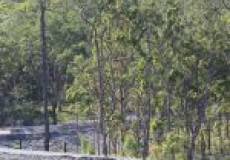 58A Comel Avenue, CAMERON PARK, NSW 2285 Australia