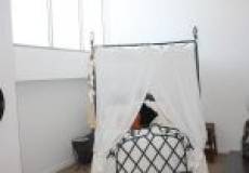 323/14 Milford Street, ISLINGTON, NSW 2296 Australia