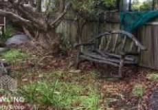 49 Hebburn Street, Hamilton East, NSW 2303 AUSTRALIA