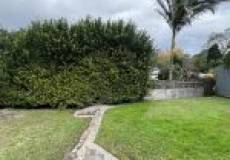 20 Holly Cct, New Lambton Heights, NSW 2305 Australia